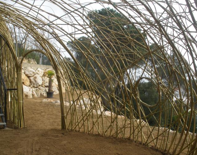 willow structures inside detail