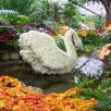 декорации для свадьбы банкета пруд лебедь из цветов